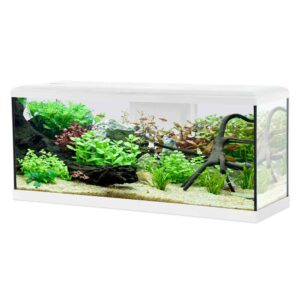 Zolux Acquario Tana 100 Led White - acquario 120 L - 100x30x40h cm completo di fltro, riscaldatore e led - bianco