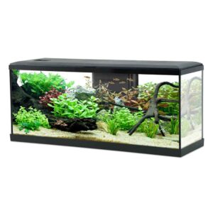 Zolux Acquario Tana 100 Led Black - acquario 120 L - 100x30x40h cm completo di filtro, riscaldatore e illuminazione a led - nero
