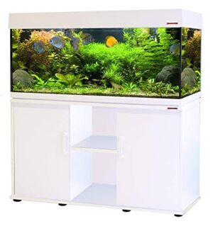 Acquari d'acqua dolce