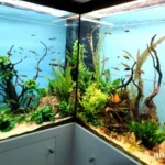 Acquario Angolare Panoramina 1200 lt