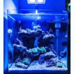 Acquario Marino Nanoreef 90 lt cubo