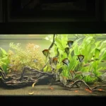 Aquael 400