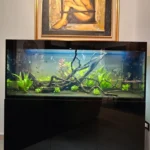 Aquael glossy 400 lt
