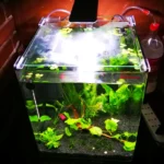 Cubo 30