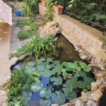 Laghetto1