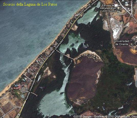 Laguna de los Patos: il biotopo naturale del Poecilia wingei (Endler)