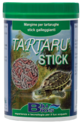 Mangimi tartarughe