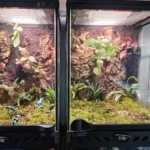 Terrari