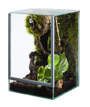 Terrari/Paludari