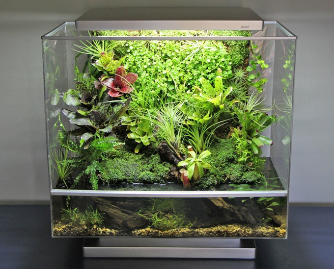 Terrari/Paludari Passion