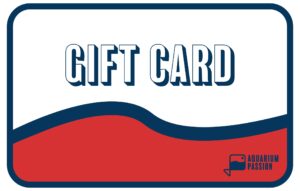 Gift Card - Buono regalo