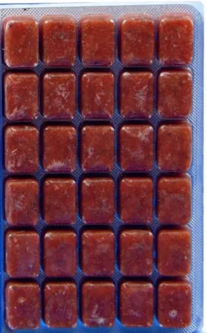 Pastone o mangime surgelato - (NO SPEDIZIONE - SOLO RITIRO IN SEDE) - 100 gr - 30 cubetti gusti a scelta