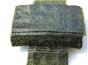 Alghe nori XL - 10 FOGLI 20x10 cm per alimentazione pesci marini alghivori, loricaridi e caridine