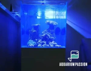 Nano reef 125 litri completo di tecnica: skimmer, filtro a zainetto, pompe di movimento e plafoniera led Amtra Vega Led Reef