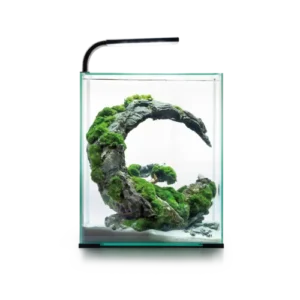 Aquael SHRIMP SET Day&Night 10 White - caridinaio completo 20x20x25h cm Bianco