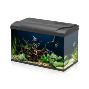 Aqpet Simply Led 60 Nero - Acquario 60 lt - 59x30x39h cm completo di luce, termoriscaldatore e filtro con materiali filtranti