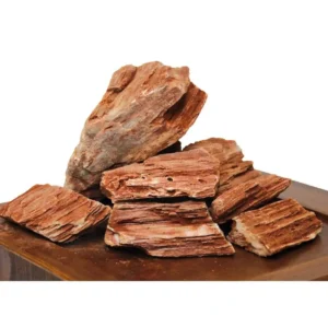 Roccia Legno Fossile L - 1 pz - circa 15-20 cm - Radiale rossa grande - inerte