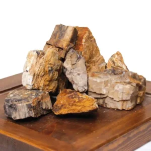 Roccia petrified Xs - 1 pz da circa 6x8 cm - inerte
