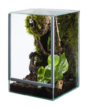 Diversa Nano Terrario Spider 15x15x20h cm - acquaterrario, paludario, terracquario