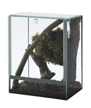 Diversa Nano Terrario Spider 20x15x25h cm - acquaterrario, paludario, terracquario
