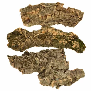 Corteccia di sughero - porzione per coprire circa 50x50 cm per terrario paludario, terracquario, acquaterrario o presepe