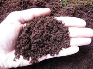 Fibra di cocco - terriccio 0-10 mm - 5 lt per fondo terrario bioattivo, paludario, terracquario, acquaterrario o presepe