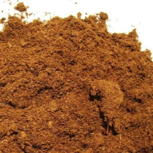 Torba bionda acida di sfagno - terriccio 0-10 mm - 5 lt per fondo terrario bioattivo, paludario, terracquario o presepe