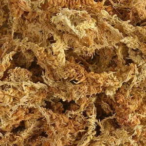 Muschio di Sfagno Cileno secco in fibre - 5 lt Sphagnum per fondo terrario bioattivo, paludario o presepe