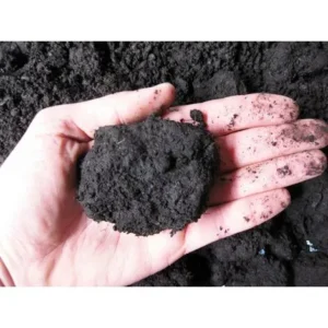 Argilla Keto 2 lt per sfondo terrario bioattivo, paludario, terracquario, acquaterrario o bonsai