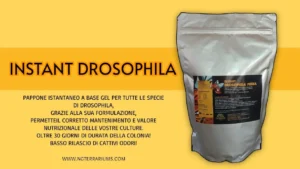 Ng Terrariums Instant Drosophila media 1Kg - pappone per allevamento moscerini della frutta