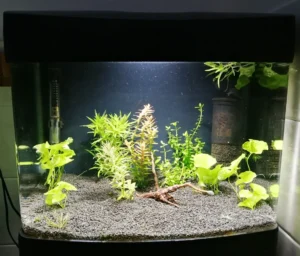Acquario Wave Xcube 40 con mobiletto allestito, 45,5x32,5x37h cm completo di tutto