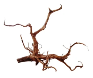 LEGNO Red Spider King XL 50-60 cm, radice ornamentale finemente ramificata