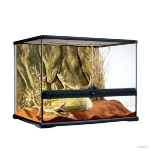Exo Terra Glass Natural Terrarium Medium Wide 60x45x45 cm - terrario - acquaterrario, paludario, terracquario