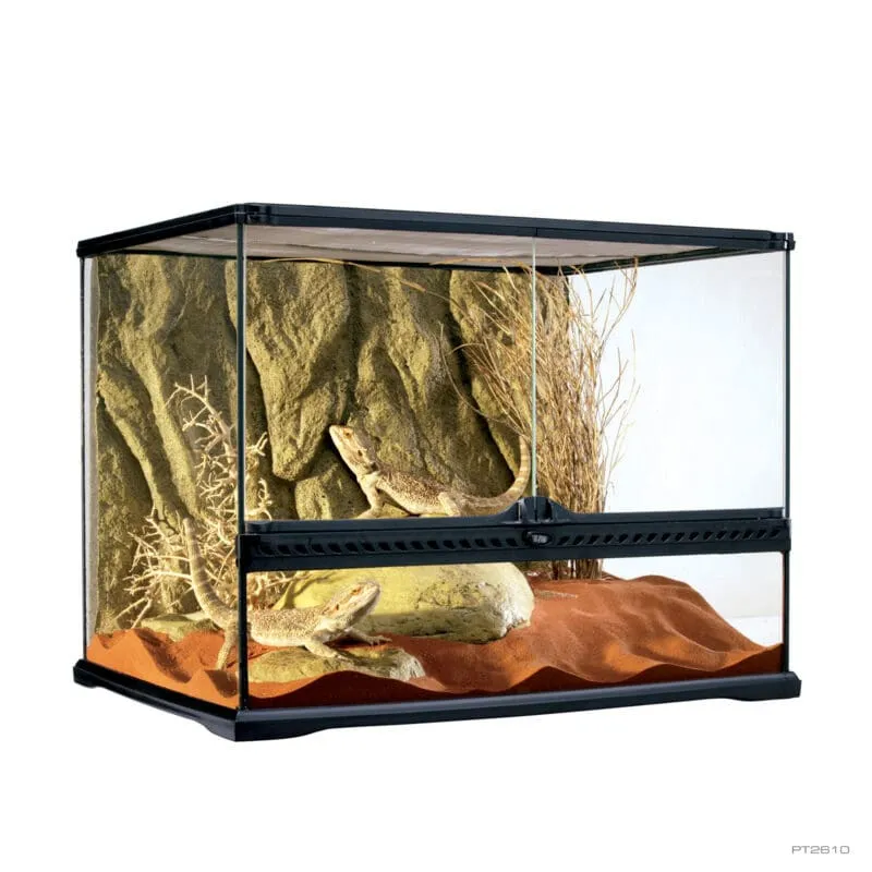 Exo Terra Glass Natural Terrarium Medium Wide 60x45x45 cm - terrario - acquaterrario, paludario, terracquario