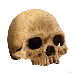 Exo Terra Primate Skull - Teschio di Primate - Nascondiglio per terrario con rettili o anfibi - cod. PT2855