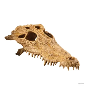 Exo Terra Crocodile Skull - Teschio di Coccodrillo - Nascondiglio per terrario con rettili o anfibi - cod. PT2856
