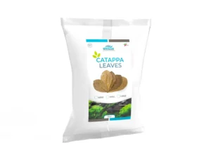 Whimar – Catappa Nano - 6-9 cm – 20pz FOGLIE DI CATAPPA - MANDORLO INDIANO, KETAPANG