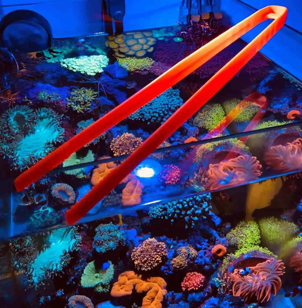 X-Tweezer - Pinza Arancio fluo professionale 45 cm per coralli, piante e arredi