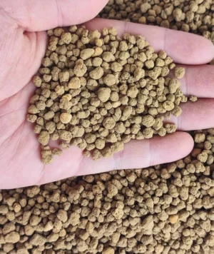 Akadama Hard Quality Ibaraki 2-5 mm - 2 lt per fondo terrario, paludario, terracquario, acquario, bonsai e piante carnivore