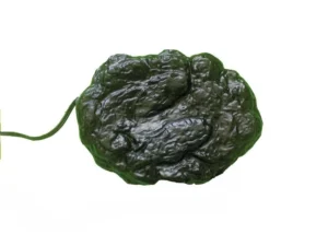 ReptiZoo Repti Heat Rocks 24 watt – Roccia riscaldante 29x20 cm per rettili terrario