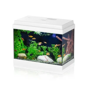 Aqpet Simply Led 30 Bianco - Acquario 30 lt - 39x22x30h cm completo di luce e filtro con materiali filtranti