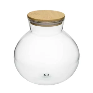 Bottle Garden – Terrario Anfora con coperchio in legno per Terrario in vetro 18,5x18h cm