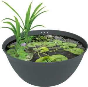 SuperFish Medaka Bowl 600 - Mini Pond 30 lt - 60x25h cm - mastello ciotola per terrazzo, giardino o interno per medaka