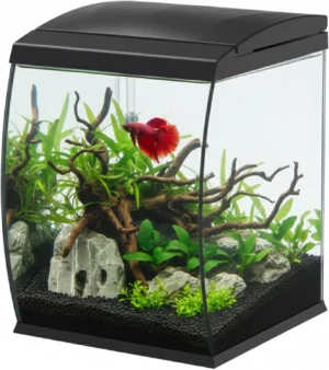 Aqpet CurVe Led 35 lt Nero - Acquario 35 lt - 30.2x33.5x42.5h cm completo di luce e filtro con materiali filtranti