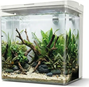 Aqpet Neya Led 5 lt Bianco - Mini Acquario da scrivania 5 lt - 20x15x20h cm completo