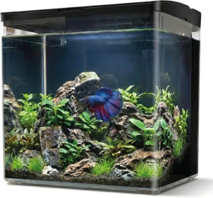 Aqpet Neya Led 5 lt Nero - Mini Acquario da scrivania 5 lt - 20x15x20h cm completo
