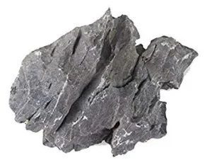 Roccia Seiryu Stone Md - 1 pz da circa 16-26 cm 2-3 kg - Dragon Grigia boutique leggermente calcarea