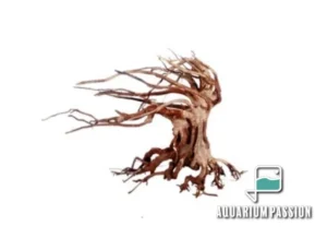 Legno Oriental Wind-6 SMALL, radice ornamentale aquascaping - 23X10X17h cm
