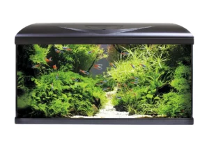 Acquario Completo AMTRA SYSTEM 80 LED Black 80 litri Nero