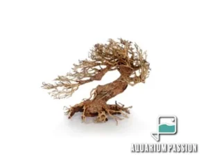 Legno Oriental Wind-3 MEDIUM, radice ornamentale aquascaping - 32X15X24h cm